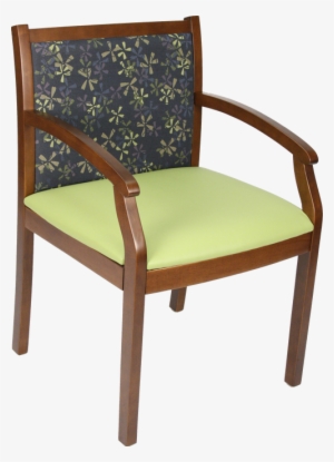 **black Fabric Only** - Greenhouse Design Fabric B5375 Iris #4166590