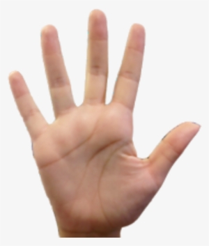 Mao Pare Png - Palma Das Mãos #4166593