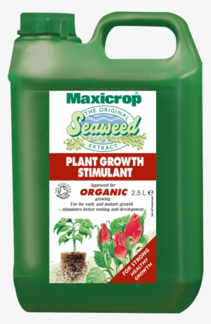 Next - Maxicrop Seaweed #4167943