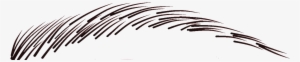Micro Brow Sketch #4168891 Micro Brow Sketch #4168891