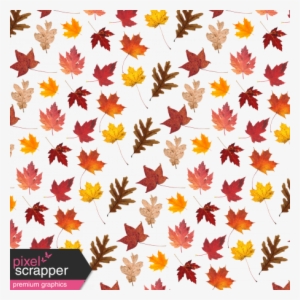 Fall Leaves Overlay - Tickseed #4169193