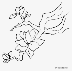 Flores De Almendro Dibujos #4169699