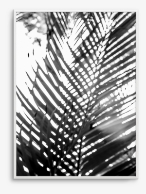 Blur - Photography #4171074