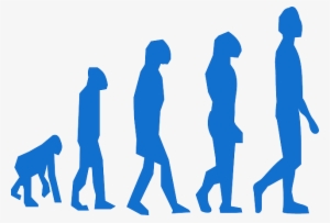 Los Primeros Dentistas De La Historia - Evolução Dos Seres Vivos #4171158