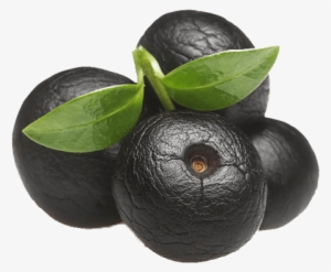 Nutrients Available In Acai Berries Acai Berries - Açaí Palm #4171180 Nutrients Available In Acai Berries Acai Berries - Açaí Palm #4171180