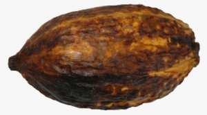 Chocolate As Cash - Cocoa Butter #4171411