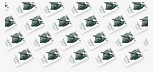 Ariana F - - Aerospace Manufacturer #4171667