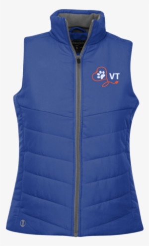 Veterinary Technician Vt Stethoscope - Vest #4171669