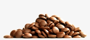 Milk - Callebaut #4171718