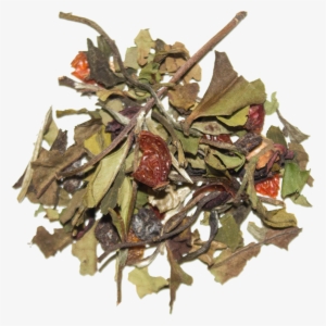 Acai Berry Tea - Acai Berry #4172217