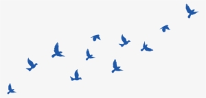 Site Image - Site-image #4173458