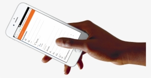 Many Dental Offices Also Now Offer Web Site Portals - Apple Iphone 6s - 64 Gb - Silver - Unlocked #4174238