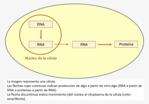 Imagen - Circle #4174573