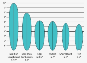 Types Of Surfboards - Surfboard #4174577