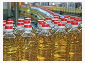 Vegetable Oil Production Line #4175725