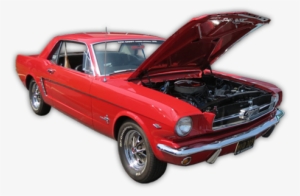 Download Membership Form - Ford Mustang #4175789