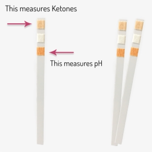 Keto-ph Urine Test Strips - Urine Test Strip #4177133