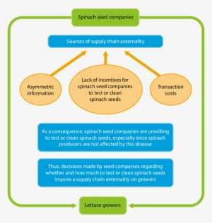 As Indicated By The Green Arrows, The Supply Chain - Supply Chain #4177502