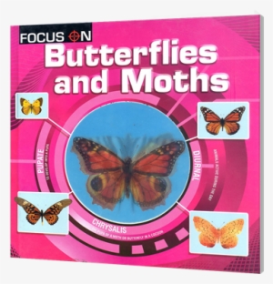Picture Of Focus On - Lepidoptera #4178282