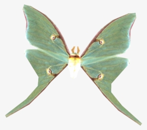 Skyrim Luna Moth Wing #4178329