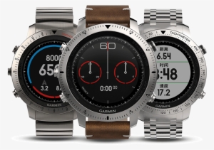 Garmin Garmin Fenix Chronos Cool Dragon Fly Time-resistant #4178862