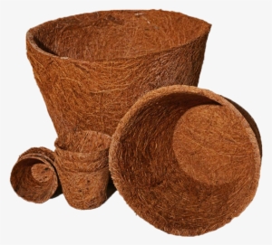 Coir Pot #4179098