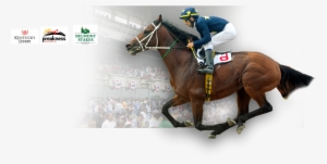 Cusiconage - Belmont Stakes #4179411