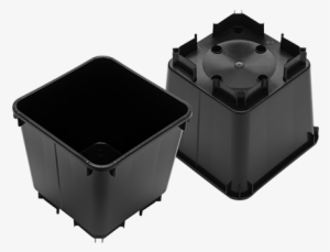 Pots - Postural Orthostatic Tachycardia Syndrome #4179465