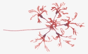 Fireworks Leaves Cartoon Transparent - Portable Network Graphics #4179493