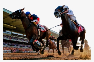 Championship Racing - Horse Racing Black And White #4179867