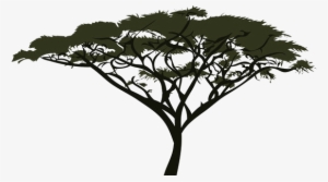 Submit - Acacia #4179870