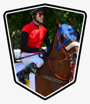 Gallop Horse Racing And Working Equipment & Accessories - Gallop #4179933