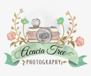 Acacia Tree Png #4180019