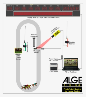 Photofinish For Galop - Alge Timing #4180021 Photofinish For Galop - Alge Timing #4180021