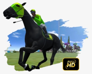 Many Races Per Track, Using Different Race Distances - Racing #4180049