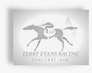 Terry Evans Platinum Club #4180069