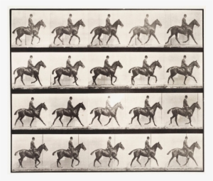 History Of Horse Racing #4180078