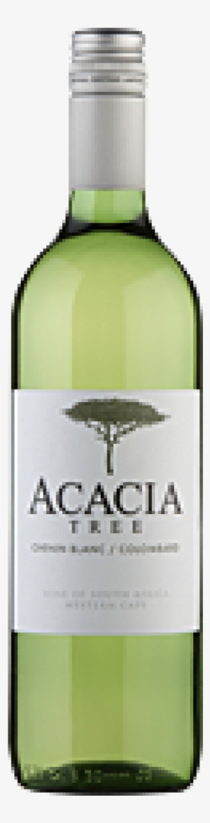 Acacia Tree Chenin Blanc - Tangled Tree Tropical Sauvignon Blanc #4180221