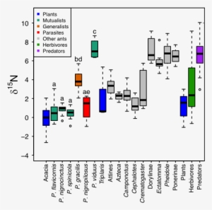 Bacterial Symbionts In Plant-ants - Diagram #4180242