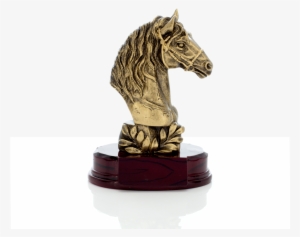 Cavalo-01 - Equestrianism #4180243