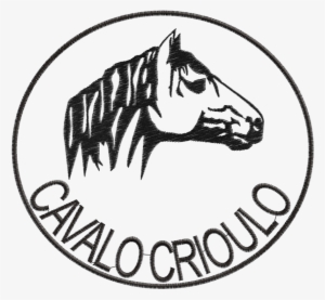 Cabeca De Cavalo Crioulo #4180317