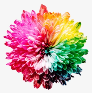 Single Mum With A Rainbow Of Colors - Importance Of Colour #4180368