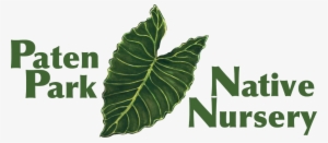 Paten Park Native Nursery #4180441