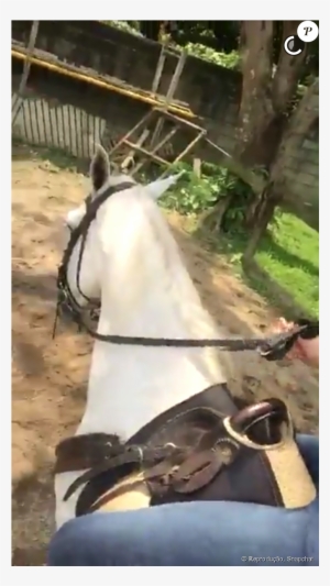 Atriz Fez Amizade Com Cavalo - Horse #4180911