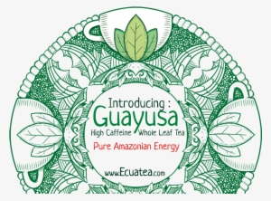 Join The Ecuateavolution - Ilex Guayusa #4180968