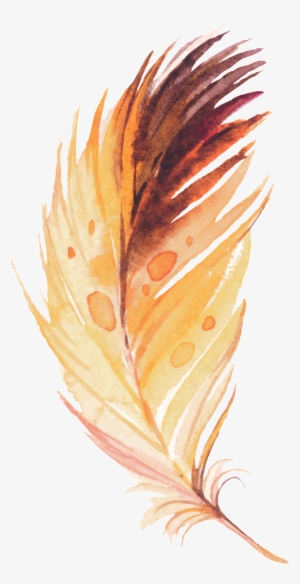 Gota De Lluvia Feather Cartoon Png Transparente - Feather #4181648