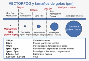 Comparativo Tañaños De Gotas - Tamaño De Las Gotas De Lluvia #4182023