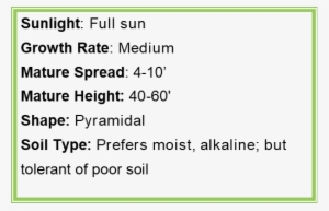 Jquery Progress Bar #4184490