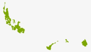 Berkmans Golden Arborvitae Grows Well In Zone 9b - Loropetalum #4184716