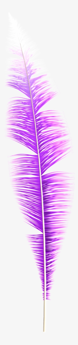 Dream Feather Png - Grass #4184798